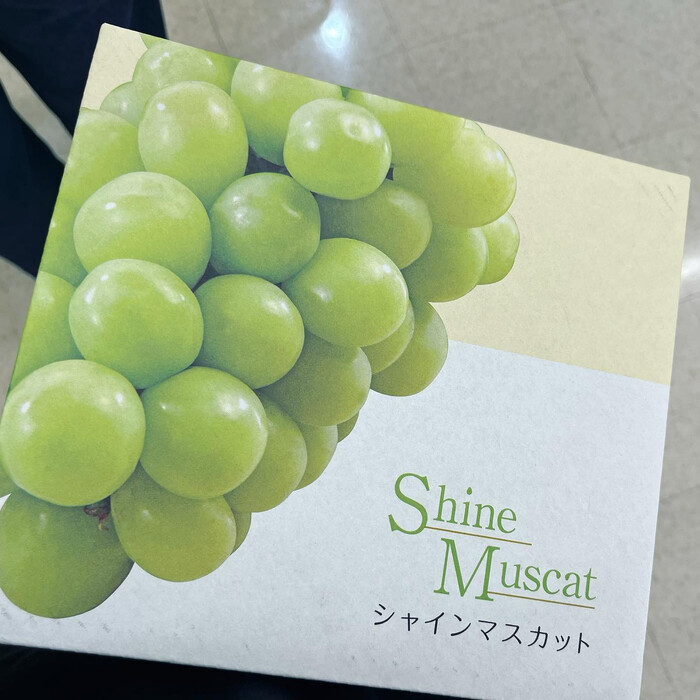 画像290