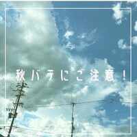 画像296