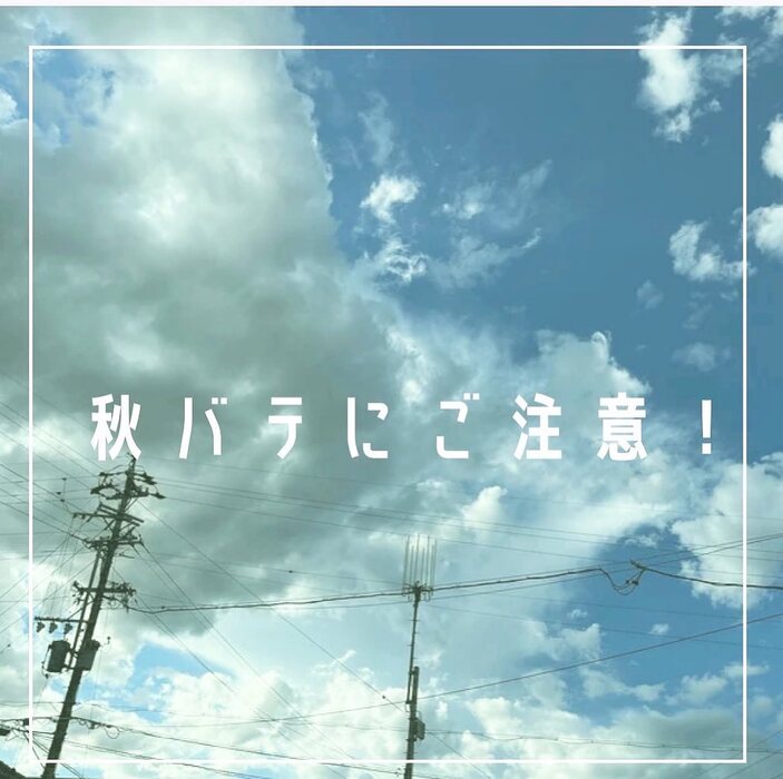 画像296