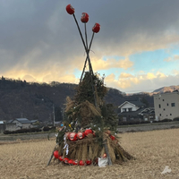 画像365