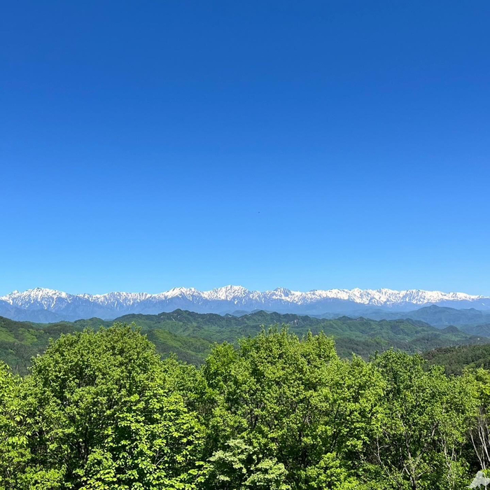 画像450